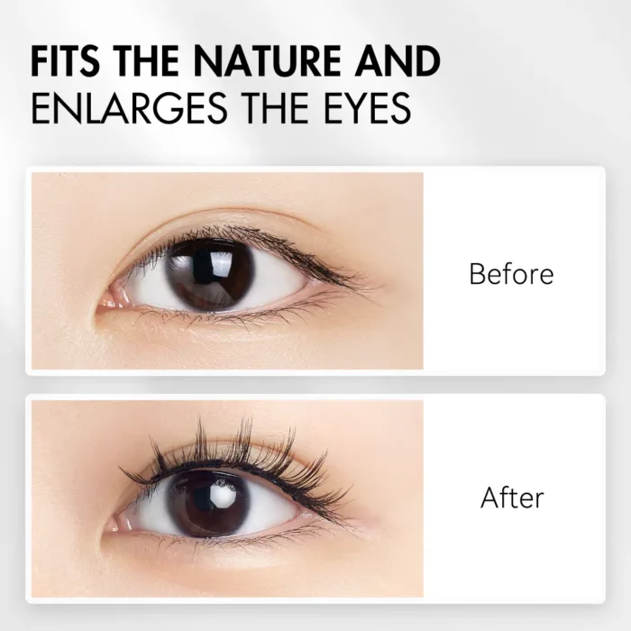 Wosado Magnetic Eyelashes No.12 Iris Black Butter Bear Upgraded All-in-One Box - Image 3