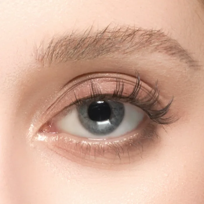 Wosado Magnetic Eyelashes No.12 Iris Black Bearisbug Upgraded All-in-One Box - Image 4