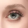Wosado Magnetic Eyelashes No.10 Ultra Black Bearisbug Upgraded All-in-One Box - Image 9
