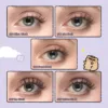 Wosado Magnetic Eyelashes No.10 Ultra Black Bearisbug Upgraded All-in-One Box - Image 5